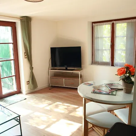Romantique A 5mn De La Cathedrale D'albi Apartmán Albi