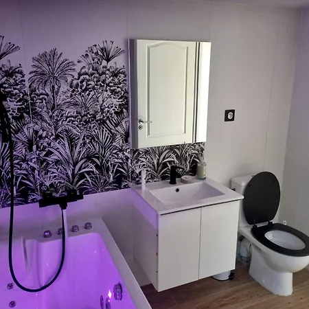 Romantique A 5mn De La Cathedrale D'albi