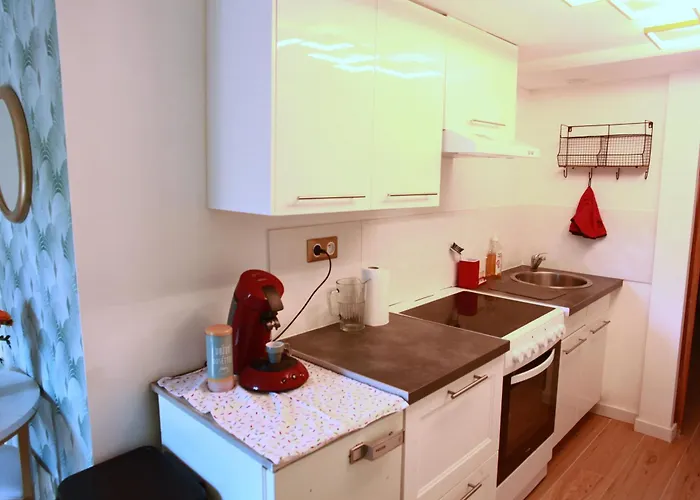 Romantique A 5mn De La Cathedrale D'albi